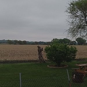 Meet your Posher, Bella